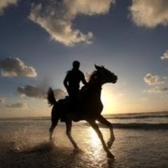 Monaxikos77's profile picture. ΕΛΕΥΘΕΡΟΣ ΜΟΝΑΧΙΚΟΣ ΚΑΒΑΛΑΡΗΣ
ΝΙΚΟΣ ΝΙΚΟΛΑΙΔΗΣ   Χωρίς Θεό όλα  επιτρέπονται, αλλά κι όταν όλα επιτρέπονται ελευθερία δεν υπάρχει....