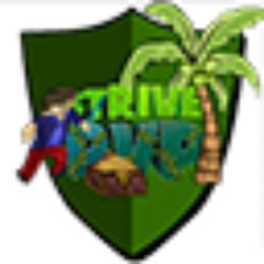 RealStrivePvP's profile picture. Owner Of StrivePvP