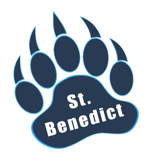 StBenedictSud's profile picture. 