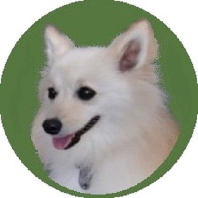 Smile MoMoさんのプロフィール画像