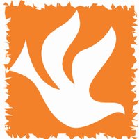 Fundación Síndrome de West (@fswest) 's Twitter Profile