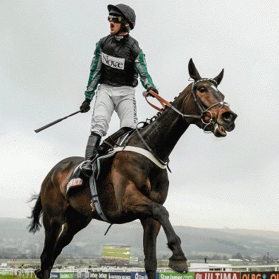 Following National Hunt Racing from September to #Cheltenham #Aintree and #Punchestown. Pure fun. No bullshit. My site and account.