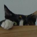 Kitty Tam - @soluckyKH - Twitter