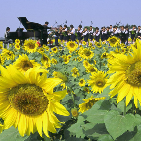 Diane__Fu's profile picture. 