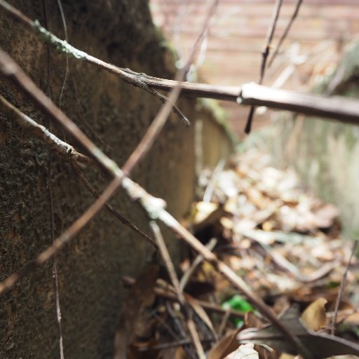 thaddeustrevin's profile picture. 