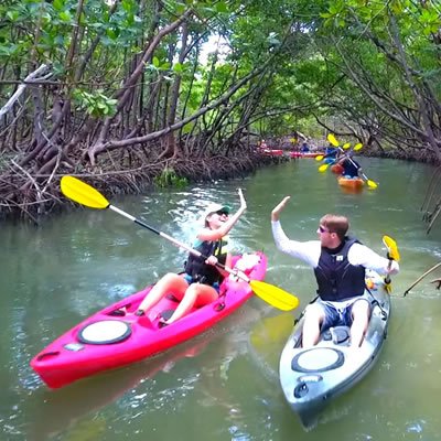 Kayaks, Paddleboards, Rentals & Tours on Marco Island.