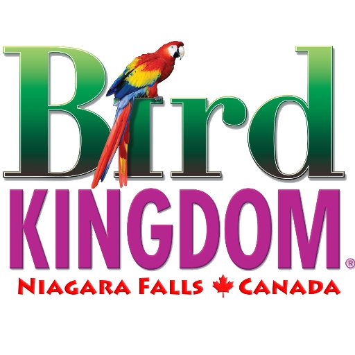 BirdKingdom Profile Picture
