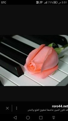 Rasha5566778R's profile picture. 