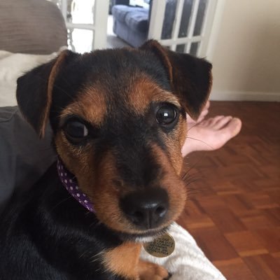 1000_thomas's profile picture. 