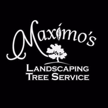 We’ve come a long way since we first started in the business of tree care and landscape.