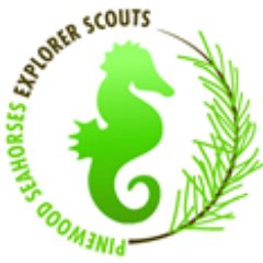 The world's most awesome, nuttiest and all round best Explorer Scout  Unit. We meet on a Friday night from 8 pm to 10 pm at Pinewood Scout Centre.