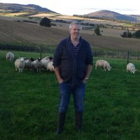 Stephen D Green (@sdg_gourdiehill) 's Twitter Profile