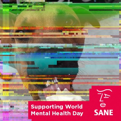 SX_BiPolarBear's profile picture. Just a confused person who is lost in a world of fast days and slow months - stop the world I want to get off now #Depression #BiPolar #BPD #Anxiety