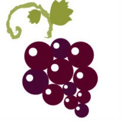 Toledo Wines & Vines Profile