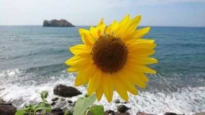 Veesfizz's profile picture. Sharing the great things in life! Supporting @beyondOurYouth by @VMartinOBE |
Images courtesy of Adele and @antehc.