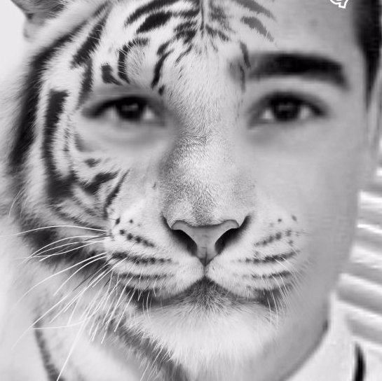 RaiconyLion's profile picture. 