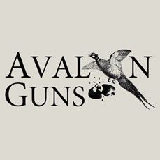 Avalon Guns