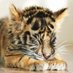 アフリカンサファリ【公式】 (@africansafari1) Twitter profile photo アフリカンサファリ【公式】 (@africansafari1) Twitter profile photo
