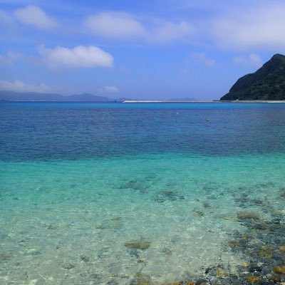 趣味は旅行。沖縄・慶良間諸島の阿嘉島と伊豆諸島の御蔵島が大好き。ウミガメやイルカと泳いでいる時が至福の時間の素潜ら〜。ニホンイシ1・オオアタマヒメニ2・トウブハコ3・セマル1・フクモモ1・ヒト1と暮らしています。
※RT･♥️されると喜びます。