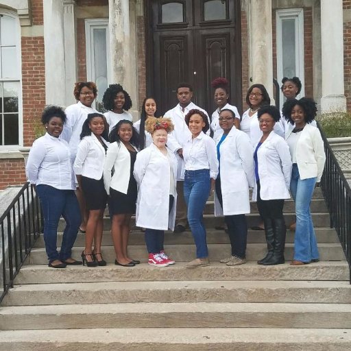 We are Fisk University Pre-Health Association. Promoting academic excellence through our future doctors, researchers, dentist, nurses,  and many more.