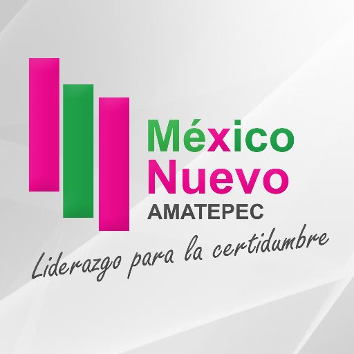 Organización Juvenil México Nuevo Amatepec filial @1MexicoNuevo | Trabajando siempre con #MNPasiónYTalento por un Mexico Nuevo | Dirigente: @maucasillas94