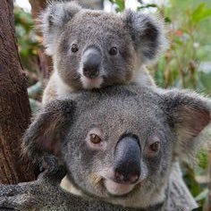 Critternation7's profile picture. Im attractive.