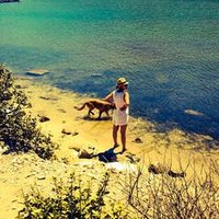 Gulcin 🐶🐯🌲🌸 (@gozluklumarilyn) 's Twitter Profile Photo Gulcin 🐶🐯🌲🌸 (@gozluklumarilyn) 's Twitter Profile Photo