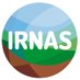 IRNAS Sevilla (@irnas_csic) Twitter profile photo IRNAS Sevilla (@irnas_csic) Twitter profile photo