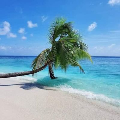 MD sunsea travel maldives . I am looking for a travel agents I have low price of every hotel in maldiveswe a leading Travel agency in Maldives. .