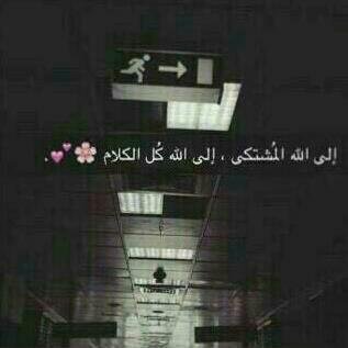 ara5437700's profile picture. 