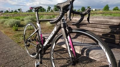 reacto400holy's profile picture. なぜか前のアカウントが凍結されたのでまた作りました