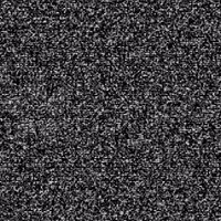 JACKALS ROSE (@jackalsrose) 's Twitter Profile