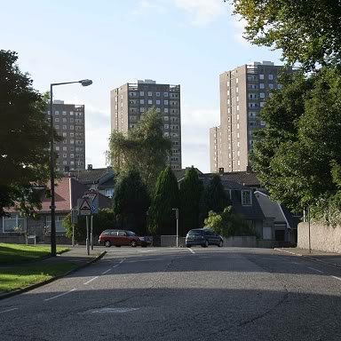 tillywoodsea Profile