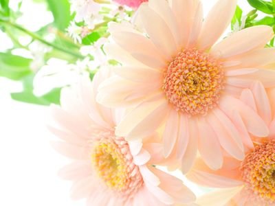 鹿児島市内に住んでいます*.°
大道芸・ディズニーなど大好きです(*。・ᴗ・。*)
ジャグリングとディアボロの練習中*.+゚
K@ITOさん/ロボットのぞみくん/ぺぺさんなど。