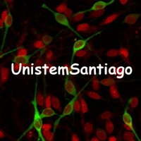 Unistem Santiago (@unistemsantiago) 's Twitter Profile Photo Unistem Santiago (@unistemsantiago) 's Twitter Profile Photo
