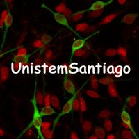 Unistem Santiago(@UnistemSantiago) 's Twitter Profile Photo