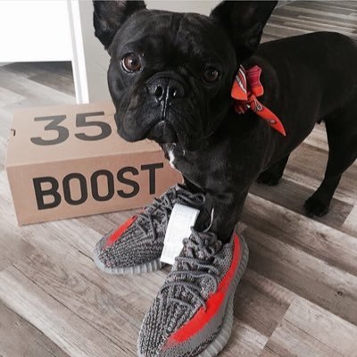 Zfbjiilhgyisav1's profile picture. 僕ですよ