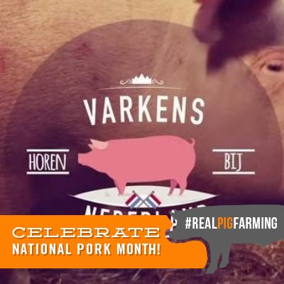 Het account van de NL varkenshouders. Wij twitteren over alles wat met varkens en varkenshouders te maken heeft. Bekijk ook onze film: https://t.co/rW59CSvRzb
