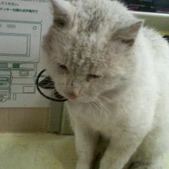 6/3(土)四十九日の法要終了!
モン暦7年生ランクメイン機900⇑サブ機800⇑
スキル無いけど本人必死(笑)(^_-)-☆
気軽に絡んで下さいネ(^_-)-☆
ツイート無いエロ垢等はブロック対象!
日常もつぶやきます(^_-)-☆