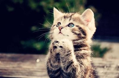 godribo's profile picture. 趣味は都市徘徊、飲酒、カラオケ。野球は阪神、サッカーはバルサ。