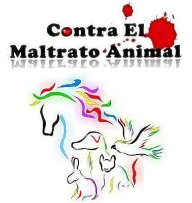 ☺ Organización Nacional Colombiana Contra El Maltrato Animal ☺ Trabajando hoy en el hombre del mañana, por los derechos de los animales. #NoAlMaltratoAnimal