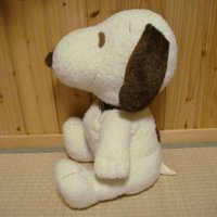 帰って来た⊂'∪ さもと (@samoto629) 's Twitter Profile