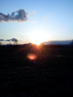 raimu8's profile picture. 