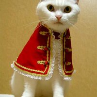 まゆ (@kiteyome) 's Twitter Profile