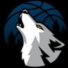 Timberwolves season ticket holder and GM Wannabe