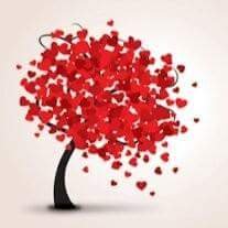 AssNamaste's profile picture. 7 persone: la creatività, il coraggio di mettersi in gioco x vivere con pienezza ogni istante condividendo la passione per la vita