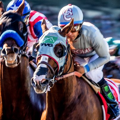 Outstanding team of photographers, specializing in horse racing. Three Eclipse Awards for photography since 2011. Official photographers for the Breeders' Cup.