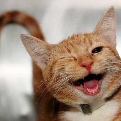 JM5Wu9fh4whZO9t's profile picture. 