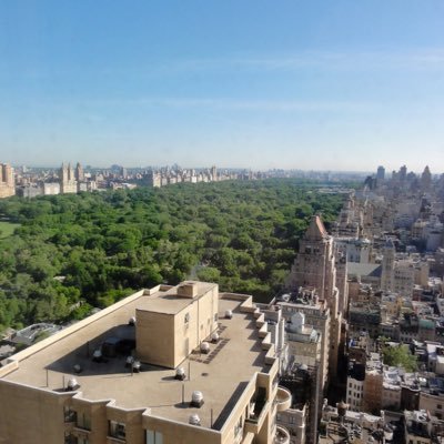 WolfieinNYC's profile picture. 