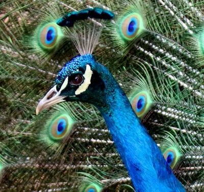 MothusiConsult1's profile picture. Providing excellent and effective management and business solutions in the private, public and development sector.